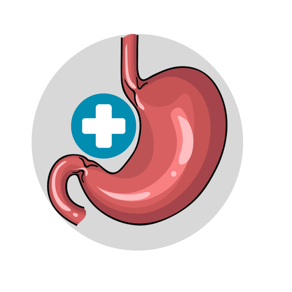 Loading Icon